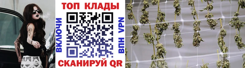 Купить APVP  МЕФ  Емва