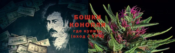 индика Богородицк