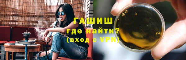 индика Богородицк