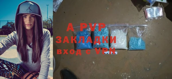 индика Богородицк