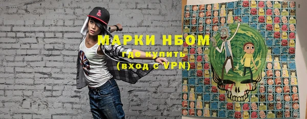 индика Богородицк