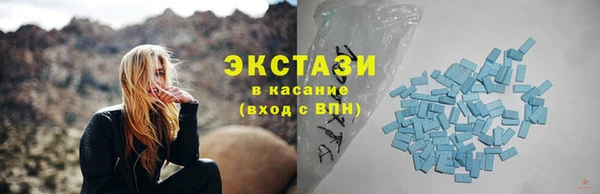 индика Богородицк