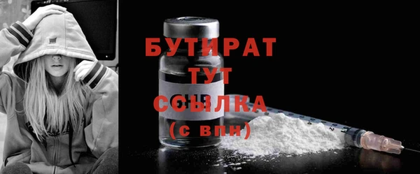 индика Богородицк