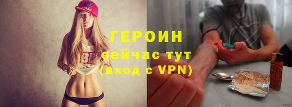 индика Богородицк