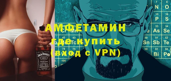индика Богородицк