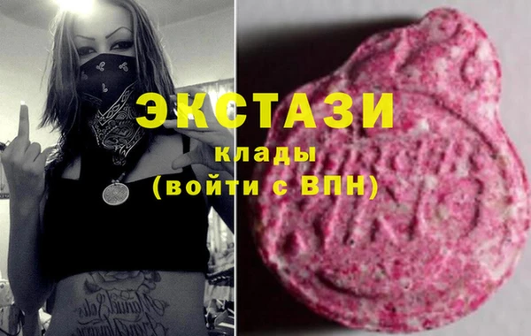 индика Богородицк