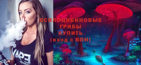 прущий лед Богородск