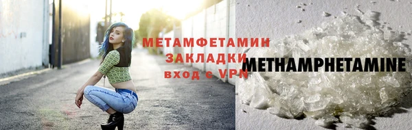 индика Богородицк