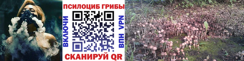 Псилоцибиновые грибы Cubensis  Купить закладки  Емва 